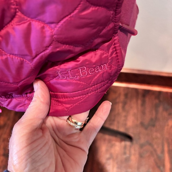LL Bean Women’s Quilted Thinsulate Vest, Medium, Gorpcore Hiking Camping Fitness - Picture 6 of 12
